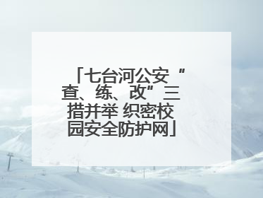 七台河公安“查、练、改”三措并举 织密校园安全防护网