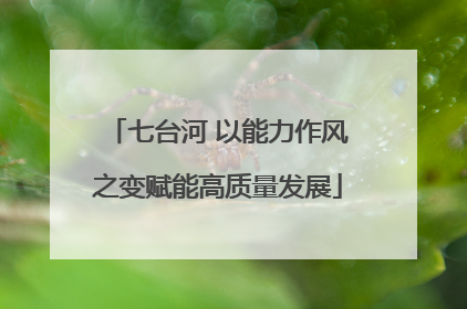 七台河 以能力作风之变赋能高质量发展
