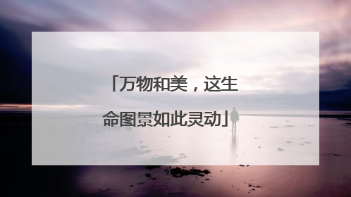 万物和美，这生命图景如此灵动