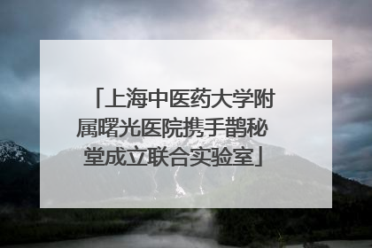 上海中医药大学附属曙光医院携手鹊秘堂成立联合实验室