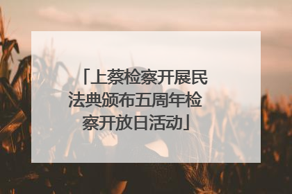 上蔡检察开展民法典颁布五周年检察开放日活动
