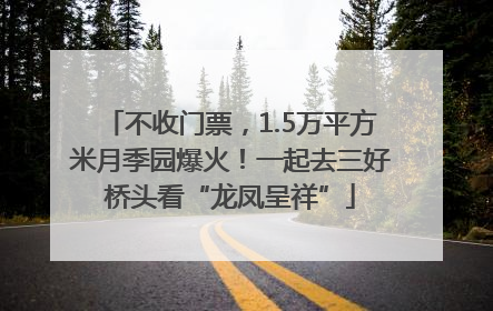 不收门票，1.5万平方米月季园爆火！一起去三好桥头看“龙凤呈祥”