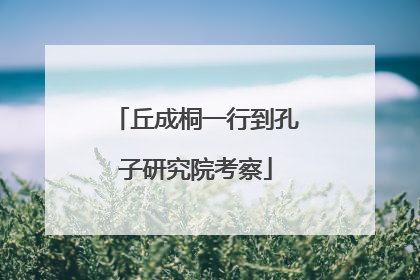 丘成桐一行到孔子研究院考察
