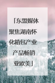东盟媒体聚焦湖南怀化箱包产业 产品畅销亚欧美