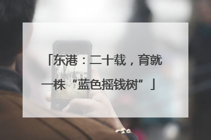 东港：二十载，育就一株“蓝色摇钱树”
