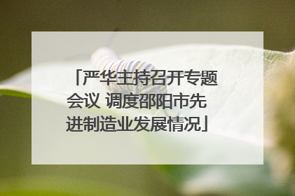 严华主持召开专题会议 调度邵阳市先进制造业发展情况