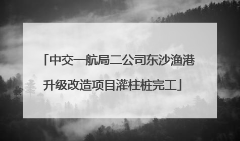 中交一航局二公司东沙渔港升级改造项目灌柱桩完工