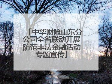 中华财险山东分公司全省联动开展防范非法金融活动专题宣传