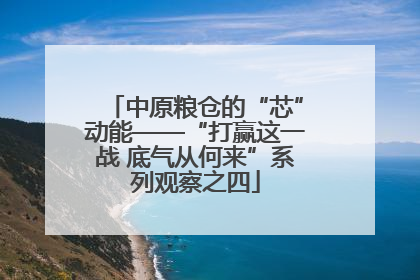 中原粮仓的“芯”动能——“打赢这一战 底气从何来”系列观察之四