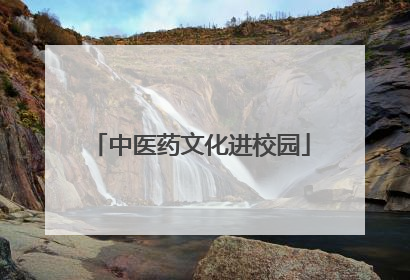 中医药文化进校园