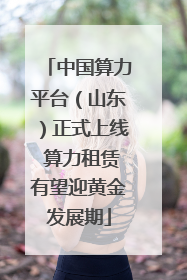 中国算力平台（山东）正式上线 算力租赁有望迎黄金发展期