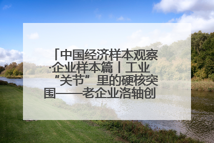 中国经济样本观察·企业样本篇丨工业“关节”里的硬核突围——老企业洛轴创新蝶变启示录