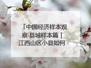 中国经济样本观察·县域样本篇｜江西山区小县如何用一根“细丝”拉出百亿级产业？