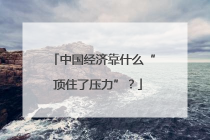 中国经济靠什么“顶住了压力”？
