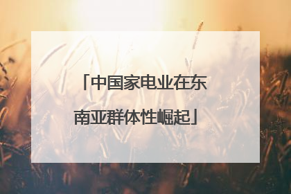中国家电业在东南亚群体性崛起
