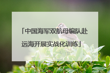 中国海军双航母编队赴远海开展实战化训练