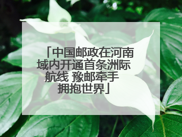 中国邮政在河南域内开通首条洲际航线 豫邮牵手 拥抱世界