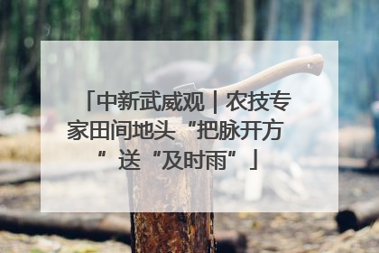 中新武威观｜农技专家田间地头“把脉开方”送“及时雨”