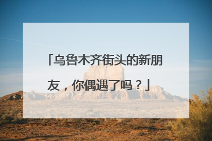 乌鲁木齐街头的新朋友，你偶遇了吗？