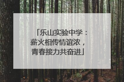 乐山实验中学：薪火相传情谊浓，青春接力共奋进