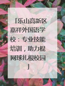 乐山高新区嘉祥外国语学校：专业技能培训，助力棍网球扎根校园