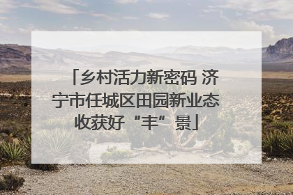 乡村活力新密码 济宁市任城区田园新业态收获好“丰”景