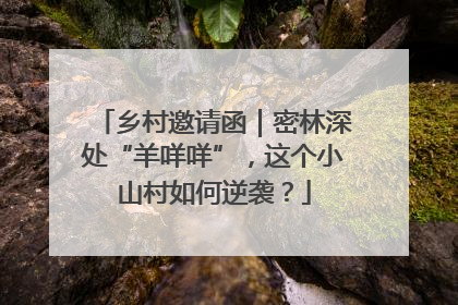 乡村邀请函｜密林深处“羊咩咩”，这个小山村如何逆袭？