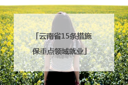 云南省15条措施保重点领域就业