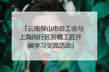 云南保山市总工会与上海闵行区劳模工匠开展学习交流活动