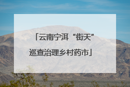 云南宁洱“街天”巡查治理乡村药市
