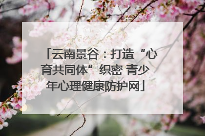 云南景谷：打造“心育共同体”织密 青少年心理健康防护网