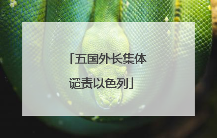 五国外长集体谴责以色列