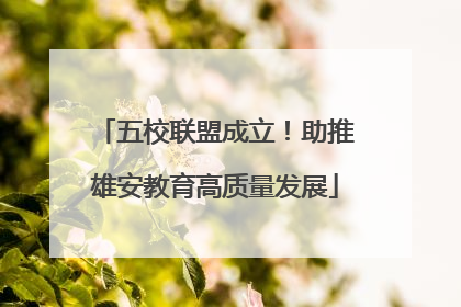 五校联盟成立！助推雄安教育高质量发展