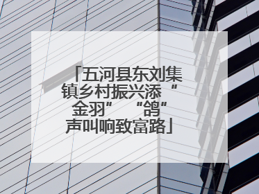 五河县东刘集镇乡村振兴添“金羽” “鸽”声叫响致富路