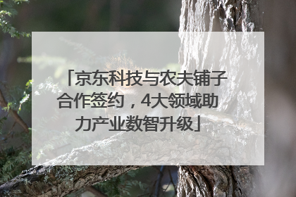 京东科技与农夫铺子合作签约，4大领域助力产业数智升级