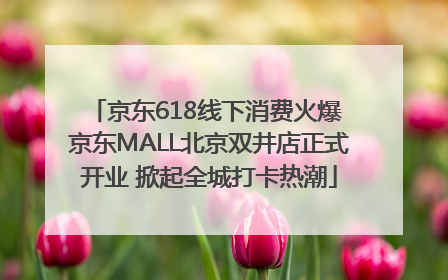 京东618线下消费火爆 京东MALL北京双井店正式开业 掀起全城打卡热潮