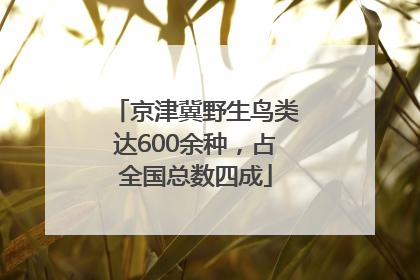 京津冀野生鸟类达600余种，占全国总数四成