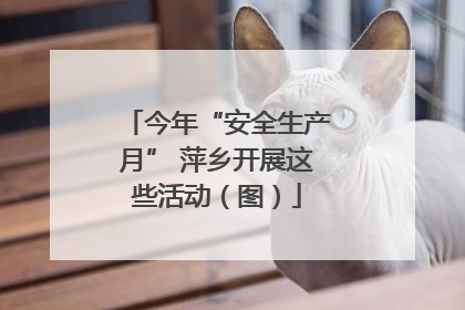 今年“安全生产月” 萍乡开展这些活动（图）