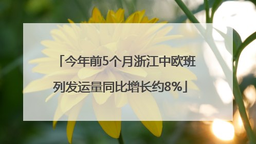 今年前5个月浙江中欧班列发运量同比增长约8%