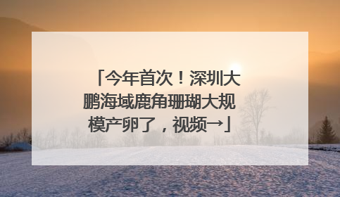 今年首次！深圳大鹏海域鹿角珊瑚大规模产卵了，视频→
