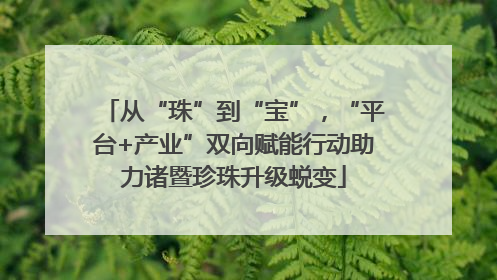从“珠”到“宝”，“平台+产业”双向赋能行动助力诸暨珍珠升级蜕变