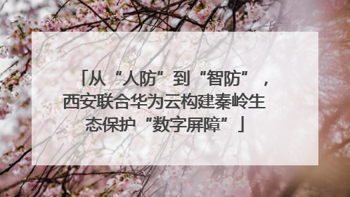 从“人防”到“智防”，西安联合华为云构建秦岭生态保护“数字屏障”