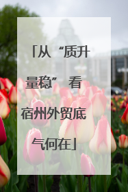 从“质升量稳” 看宿州外贸底气何在