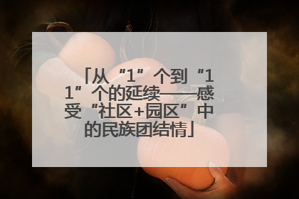 从“1”个到“11”个的延续——感受“社区+园区”中的民族团结情