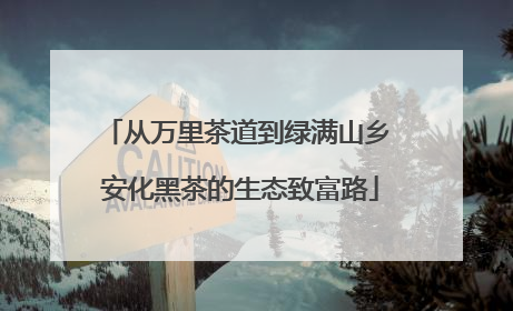 从万里茶道到绿满山乡 安化黑茶的生态致富路