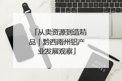 从卖资源到造精品｜黔西南州铝产业发展观察