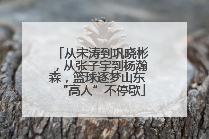 从宋涛到巩晓彬，从张子宇到杨瀚森，篮球逐梦山东“高人”不停歇