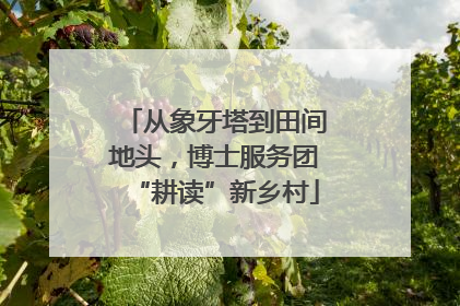 从象牙塔到田间地头，博士服务团“耕读”新乡村