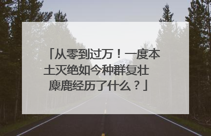 从零到过万！一度本土灭绝如今种群复壮 麋鹿经历了什么？