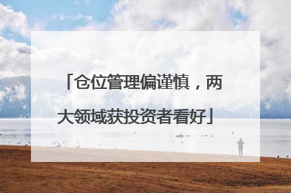 仓位管理偏谨慎，两大领域获投资者看好